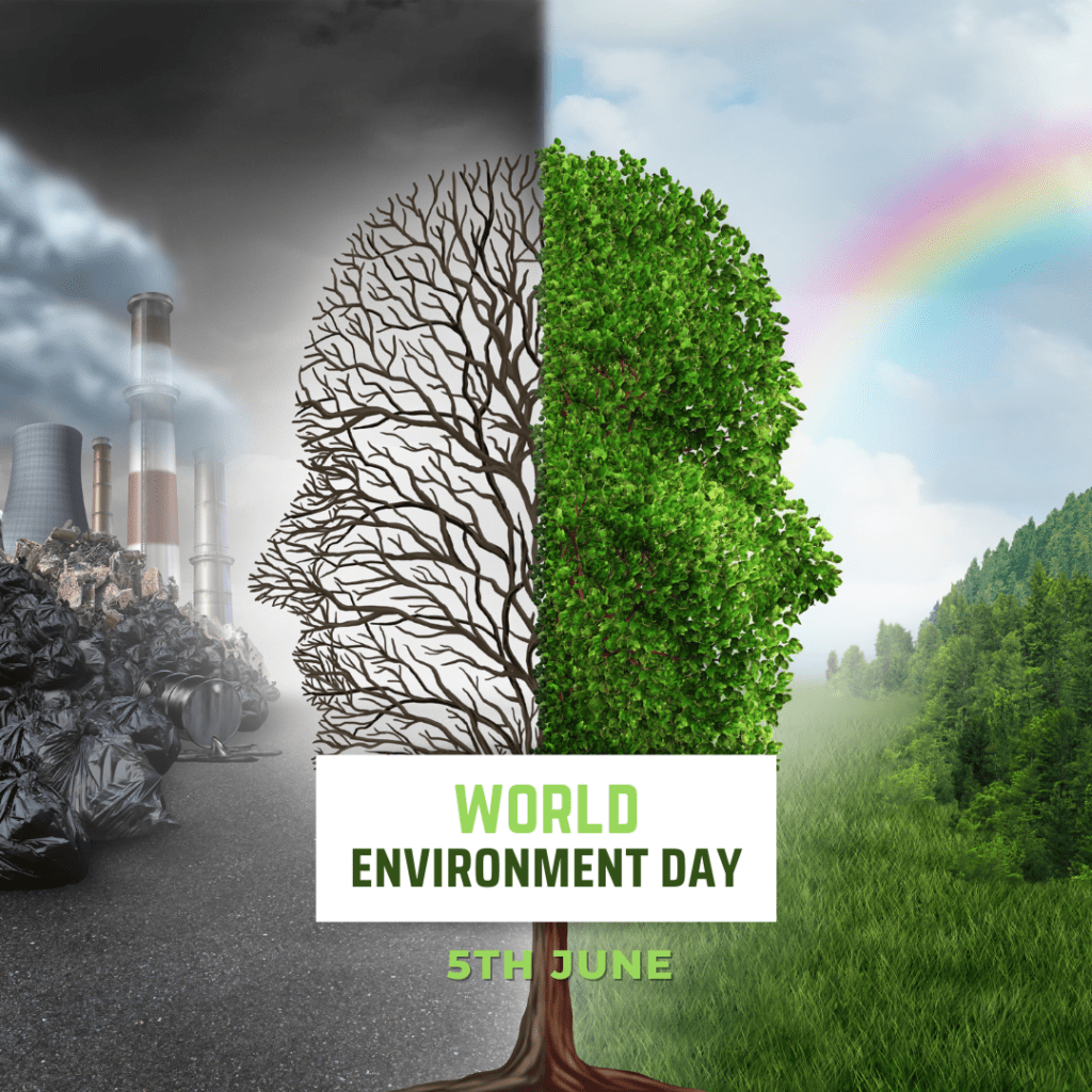 Environment Day