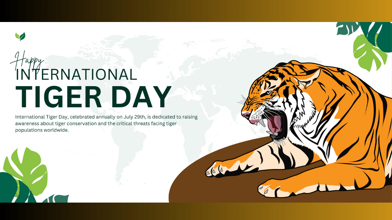 international tiger day